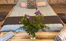 Bluebell Tent At Ballyward Croft