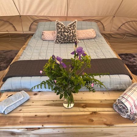 Bluebell Tent At Ballyward Croft Ardkeen Exterior photo