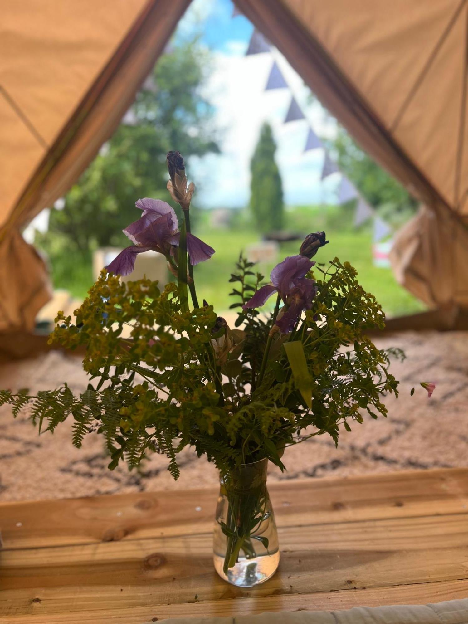 Bluebell Tent At Ballyward Croft Ardkeen Exterior photo